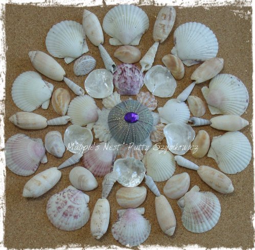 Sanibel She Shells (2)