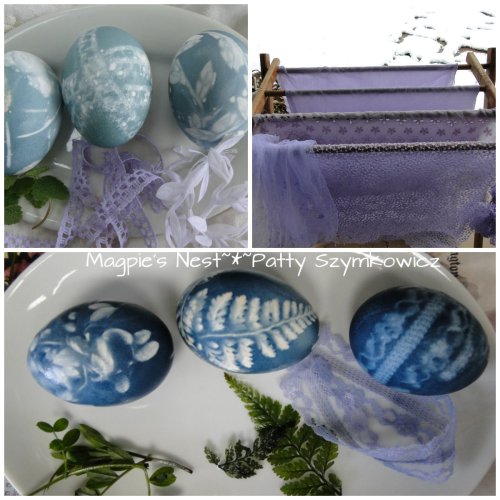 Red Cabbage Eggs and Fabric