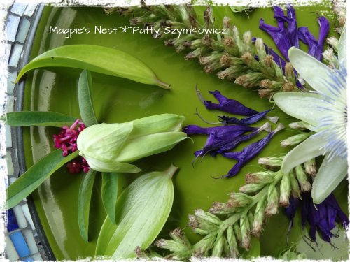 Liatris Passion Flower Mandala (1)
