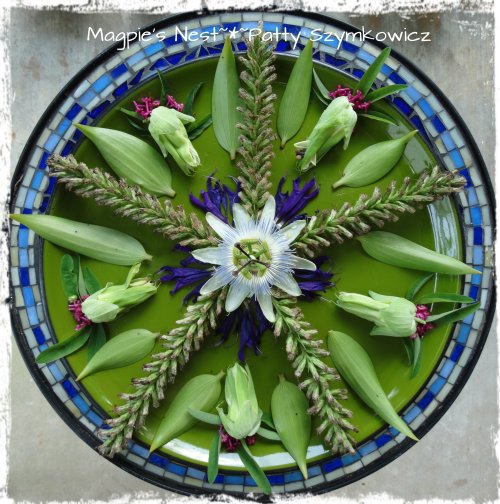Liatris Passion Flower Mandala (2)
