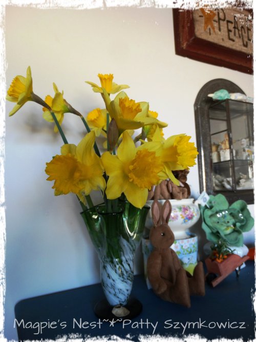 Daffs coaxed into blooming with Omis bunnies