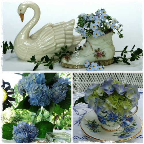 Forget-me-Nots and Hydrangeas