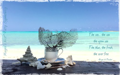 Bambarra Beach cup of sea fan tea