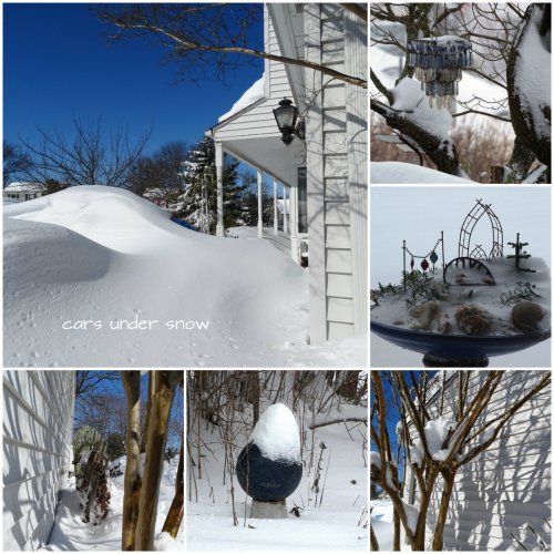 Magpie's Nest Patty Szymkowicz Snow on Snow