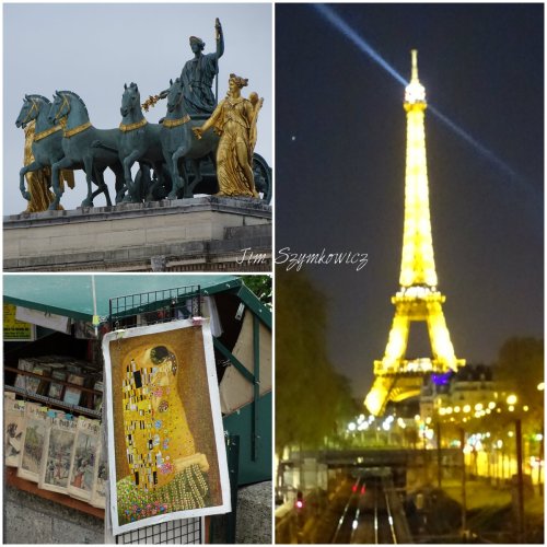 Magpie's Nest golden moments in Paris
