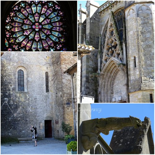 Magpie's Nest Patty Szymkowicz Carcassonne Cathedral